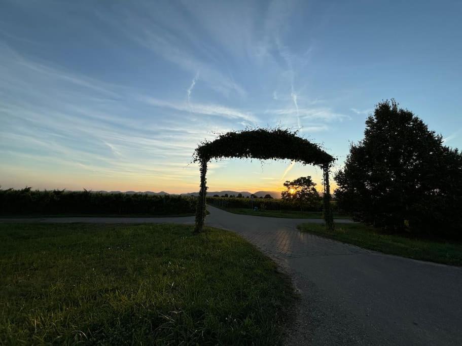 Ferienwohnung In Der Suedpfalz Zeiskam Екстер'єр фото